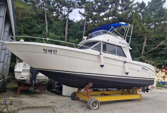 Sea Ray 29 FB 2001